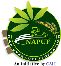 napuf website design